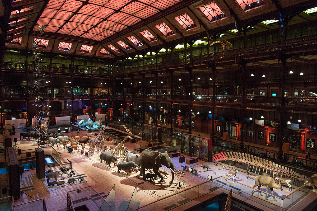 AE-image-publireportages-86