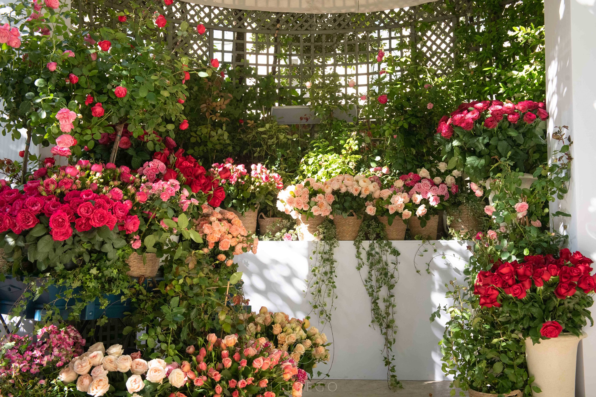 Photographie de fleurs lors d'un événement au Ritz